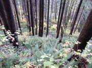 10.28.05 Devil's Rest 111 